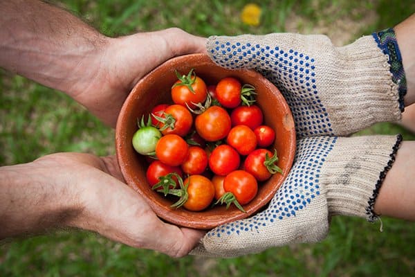 generosity | handing bowl of tomatoes
