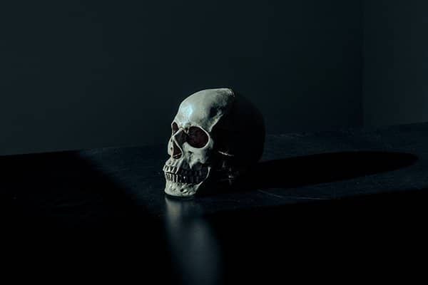 death is inevitable | skull
